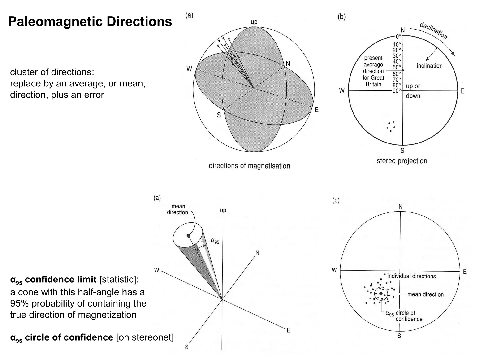 Paleomagnetic Directions

cluster of directions:
replace by an average, or mean,
direction, plus an error

α95 confidence limit [statistic]:
a cone with this half-angle has a
95% probability of containing the
true direction of magnetization
α95 circle of confidence [on stereonet]

56

 
