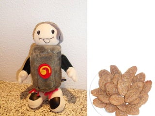 Geopark Quadrilátero Ferrífero
 