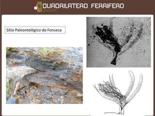 Sítio Paleontológico do Fonseca
 