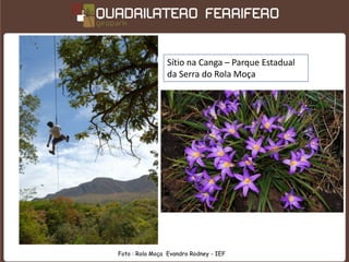 Sítio na Canga – Parque Estadual
                da Serra do Rola Moça




Foto : Rola Moça Evandro Rodney - IEF
 