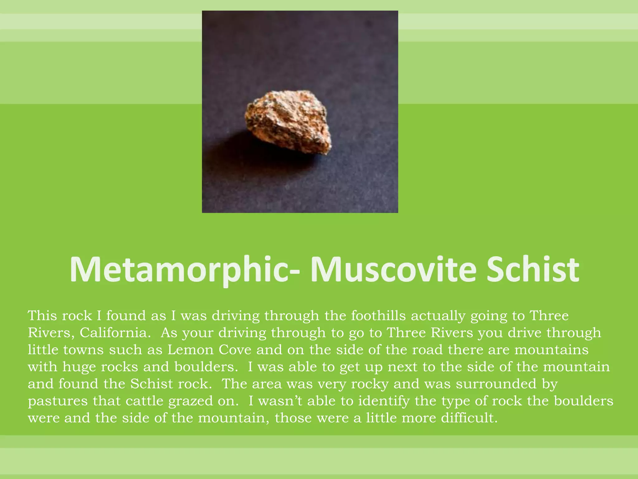 Metamorphic- Muscovite SchistThis rock I found as I was driving through the foothills actually going to Three Rivers, California.  As your driving through to go to Three Rivers you drive through little towns such as Lemon Cove and on the side of the road there are mountains with huge rocks and boulders.  I was able to get up next to the side of the mountain and found the Schist rock.  The area was very rocky and was surrounded by pastures that cattle grazed on.  I wasn’t able to identify the type of rock the boulders were and the side of the mountain, those were a little more difficult. 