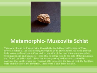 Metamorphic- Muscovite SchistThis rock I found as I was driving through the foothills actually going to Three Rivers, California.  As your driving through to go to Three Rivers you drive through little towns such as Lemon Cove and on the side of the road there are mountains with huge rocks and boulders.  I was able to get up next to the side of the mountain and found the Schist rock.  The area was very rocky and was surrounded by pastures that cattle grazed on.  I wasn’t able to identify the type of rock the boulders were and the side of the mountain, those were a little more difficult. 