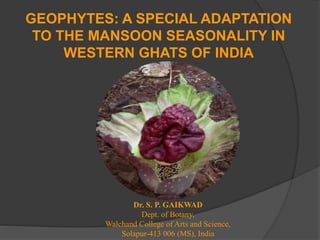 GEOPHYTES: A SPECIAL ADAPTATION
TO THE MANSOON SEASONALITY IN
WESTERN GHATS OF INDIA
Dr. S. P. GAIKWAD
Dept. of Botany,
Walchand College of Arts and Science,
Solapur-413 006 (MS), India
 