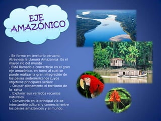 . Se forma en territorio peruano.
Atraviesa la Llanura Amazónica Es el
mayor río del mundo
. Está llamado a convertirse en el gran
eje amazónico, en torno al cual se
puede realizar la gran integración de
los países sudamericanos cuyos
objetivos principales serían:
 . Ocupar plenamente el territorio de
la selva
 . Explorar sus variados recursos
naturales
 . Convertirlo en la principal vía de
intercambio cultural y comercial entre
los países amazónicos y el mundo.
 