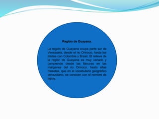 Región de Guayana.
La región de Guayana ocupa parte sur de
Venezuela, desde el rio Orinoco, hasta los
límites con Colombia y Brasil. El relieve de
la región de Guayana es muy variado y
comprende desde las llanuras en las
márgenes del rio Orinoco, hasta altas
mesetas, que en el vocabulario geográfico
venezolano, se conocen con el nombre de
tepuy.
 
