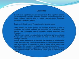 Los suelos.
El suelo es la capa fina que cubre la mayor parte de la superficie terrestre
y que comprende partículas minerales formadas por la desintegración de
rocas, materia orgánica más o menos descompuesta, materiales
inorgánica y organismos vivos.
Según su fertilidad, hay en Venezuela varios tipos de suelos:
• Muy fértiles: son suelos planos, sin problema de erosión y ricos en
nutrientes. Son buenos para todo tipo de cultivos. Se localizan en Zulia,
Mérida, Lara, Portuguesa, Yaracuy, Carabobo, Aragua, Miranda y Delta
Amacuro.
• Fértiles: son suelos correspondientes a las laderas de las montañas.
Aunque son propensos a la erosión, en ellos se cultiva maíz, hira,
Monagas y Bolívar.
• Pocos fértiles: se localizan en las áreas más elevadas de las montañas,
donde las condiciones climáticas y de relieve son relativamente adversas
para la agricultura. Sin embargo, en ellos se puede cultivar papa, fresa,
alcachofas… Se encuentran en los páramos andinos venezolanos.
• No fértiles: son arenosos y pobres en nutrientes. En ellos se desarrolla
una vegetación xerófita. Se localizan en Falcón y en la península de la
Guajira
 