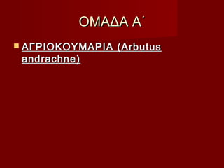 ΟΜΑΔΑ Α΄ΟΜΑΔΑ Α΄
 AΓΡIOKOYMAΡIA (ArbutusAΓΡIOKOYMAΡIA (Arbutus
andrachne)andrachne)
 