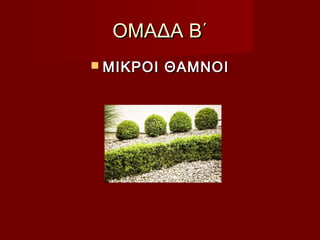 ΟΜΑΔΑ Β΄ΟΜΑΔΑ Β΄
 ΜΙΚΡΟΙ ΘΑΜΝΟΙΜΙΚΡΟΙ ΘΑΜΝΟΙ
 