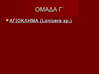 ΟΜΑΔΑ Γ΄ΟΜΑΔΑ Γ΄
 ΑΓΙΟΚΛΗΜΑ (Lonicera sp.)ΑΓΙΟΚΛΗΜΑ (Lonicera sp.)
 