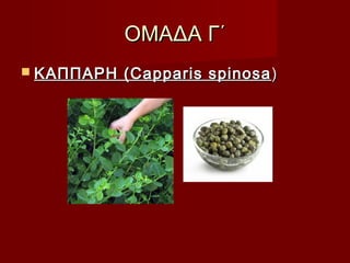 ΟΜΑΔΑ Γ΄ΟΜΑΔΑ Γ΄
 ΚAΠΠΑΡΗ (Capparis spinosaΚAΠΠΑΡΗ (Capparis spinosa ))
 
