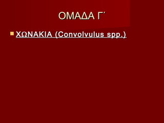 ΟΜΑΔΑ Γ΄ΟΜΑΔΑ Γ΄
 ΧΩΝΑΚΙΑ (Convolvulus spp.)ΧΩΝΑΚΙΑ (Convolvulus spp.)
 