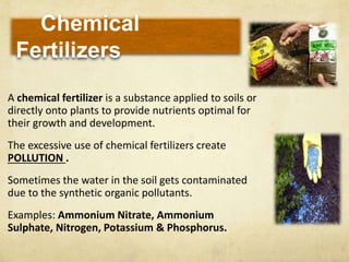 Chemical
Fertilizers
A chemical fertilizer is a substance applied to soils or
directly onto plants to provide nutrients optimal for
their growth and development.
The excessive use of chemical fertilizers create
POLLUTION .
Sometimes the water in the soil gets contaminated
due to the synthetic organic pollutants.
Examples: Ammonium Nitrate, Ammonium
Sulphate, Nitrogen, Potassium & Phosphorus.
 