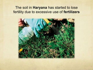 The soil in Haryana has started to lose
fertility due to excessive use of fertilizers
 