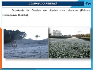CLIMAS DO PARANÁ 
Ocorrência de Geadas em cidades mais elevadas (Palmas,
Guarapuava, Curitiba).
 