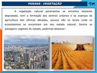 PARANÁ - VEGETAÇÃO 
A vegetação natural paranaense se encontra bastante
degradada, com a formação dos centros urbanos e os avanços da
agricultura das últimas décadas, poucos são os locais onde os
ecossistemas se encontram em seu estado natural. Dentre as
paisagens vegetais do estado, podemos destacar:
 