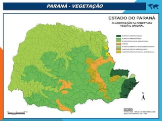 PARANÁ - VEGETAÇÃO 
 