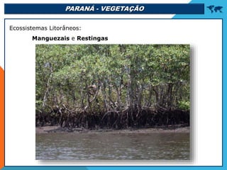 PARANÁ - VEGETAÇÃO 
Ecossistemas Litorâneos:
Manguezais e Restingas
 