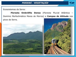 PARANÁ - VEGETAÇÃO 
Ecossistemas da Serra:
Floresta Ombrófila Densa (Floresta Pluvial Atlântica –
Domínio Morfoclimático Mares de Morros) e Campos de Altitude nos
picos da Serra.
 