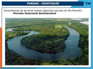PARANÁ - VEGETAÇÃO 
Ecossistemas de terrenos baixos (planícies aluviais do Rio Paraná):
Floresta Estacional Semidecidual
 