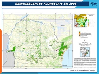 REMANESCENTES FLORESTAIS EM 2005 
Fonte: SOS Mata Atlântica e INPE
 