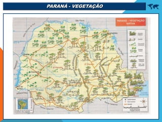 PARANÁ - VEGETAÇÃO 
 