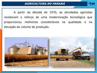 AGRICULTURA DO PARANÁ 
A partir da década de 1970, as atividades agrícolas
receberam o reforço de uma modernização tecnológica que
proporcionou melhorias consideráveis na qualidade e na
elevação do volume de produção.
 
