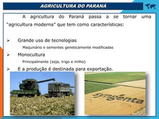 AGRICULTURA DO PARANÁ 
A agricultura do Paraná passa a se tornar uma
“agricultura moderna” que tem como características:
 Grande uso de tecnologias
Maquinário e sementes geneticamente modificadas
 Monocultura
Principalmente (soja, trigo e milho)
 E a produção é destinada para exportação.
 