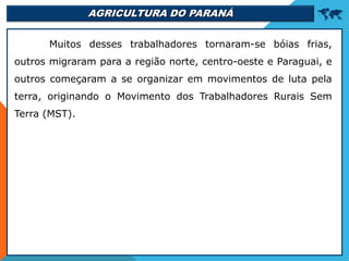 AGRICULTURA DO PARANÁ 
Muitos desses trabalhadores tornaram-se bóias frias,
outros migraram para a região norte, centro-oeste e Paraguai, e
outros começaram a se organizar em movimentos de luta pela
terra, originando o Movimento dos Trabalhadores Rurais Sem
Terra (MST).
 