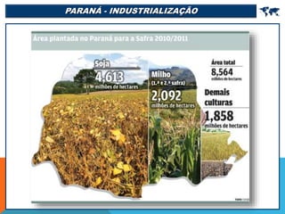 PARANÁ - INDUSTRIALIZAÇÃO 
 