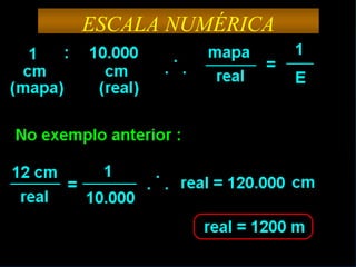 ESCALA NUMÉRICA
 