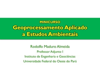 Rodolfo Maduro Almeida 
Professor Adjunto I 
Instituto de Engenharia e Geociências 
Universidade Federal do Oeste do Pará 
 
