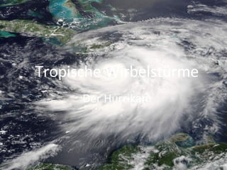 Tropische Wirbelstürme Der Hurrikan 