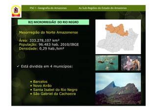 PSC I - Geografia do Amazonas   As Sub-Regiões do Estado do Amazonas



     B2) MICRORREGIÃO DO RIO NEGRO


Mesorregião do Norte Amazonense

Área: 333.278,107 km²
População: 96.483 hab. 2010/IBGE
Densidade: 0,29 hab./km²




 Está dividida em 4 municípios:



      •   Barcelos
      •   Novo Airão
      •   Santa Isabel do Rio Negro
      •   São Gabriel da Cachoeira
 
