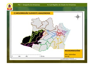 PSC I - Geografia do Amazonas   As Sub-Regiões do Estado do Amazonas



C) MESORREGIÃO SUDOESTE AMAZONENSE




                                                         MICRORREGIÕES

                                                         Alto Solimões
                                                         Juruá
 