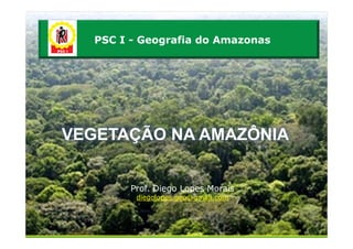 PSC I - Geografia do Amazonas




VEGETAÇÃO NA AMAZÔNIA


        Prof. Diego Lopes Morais
         diegolopes.geo@gmail.com
 