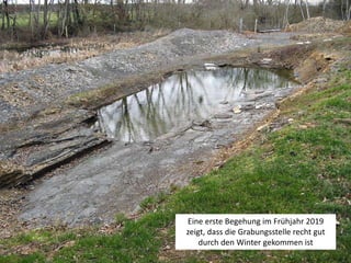 Geopunkt Jurameer Schandelah - Grabungsphase VI - 2019