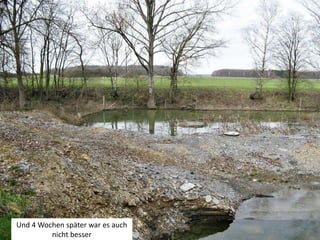 Geopunkt Jurameer Schandelah - Grabungsphase VII - 2020    Slide 15