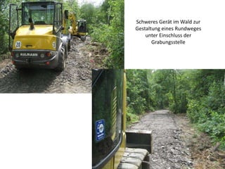 Geopunkt Jurameer Schandelah - Grabungsphase VII - 2020    Slide 42