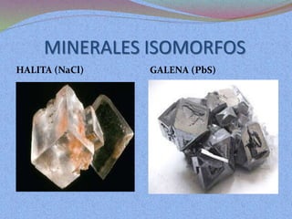 MINERALES ISOMORFOS
HALITA (NaCl) GALENA (PbS)
 