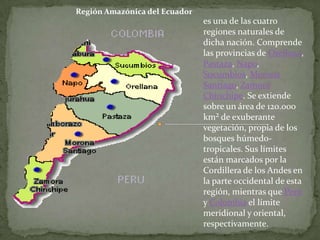 Región Amazónica del Ecuador
                               es una de las cuatro
                               regiones naturales de
                               dicha nación. Comprende
                               las provincias de Orellana,
                               Pastaza, Napo,
                               Sucumbíos, Morona
                               Santiago, Zamora
                               Chinchipe. Se extiende
                               sobre un área de 120.000
                               km² de exuberante
                               vegetación, propia de los
                               bosques húmedo-
                               tropicales. Sus límites
                               están marcados por la
                               Cordillera de los Andes en
                               la parte occidental de esta
                               región, mientras que Perú
                               y Colombia el límite
                               meridional y oriental,
                               respectivamente.
 