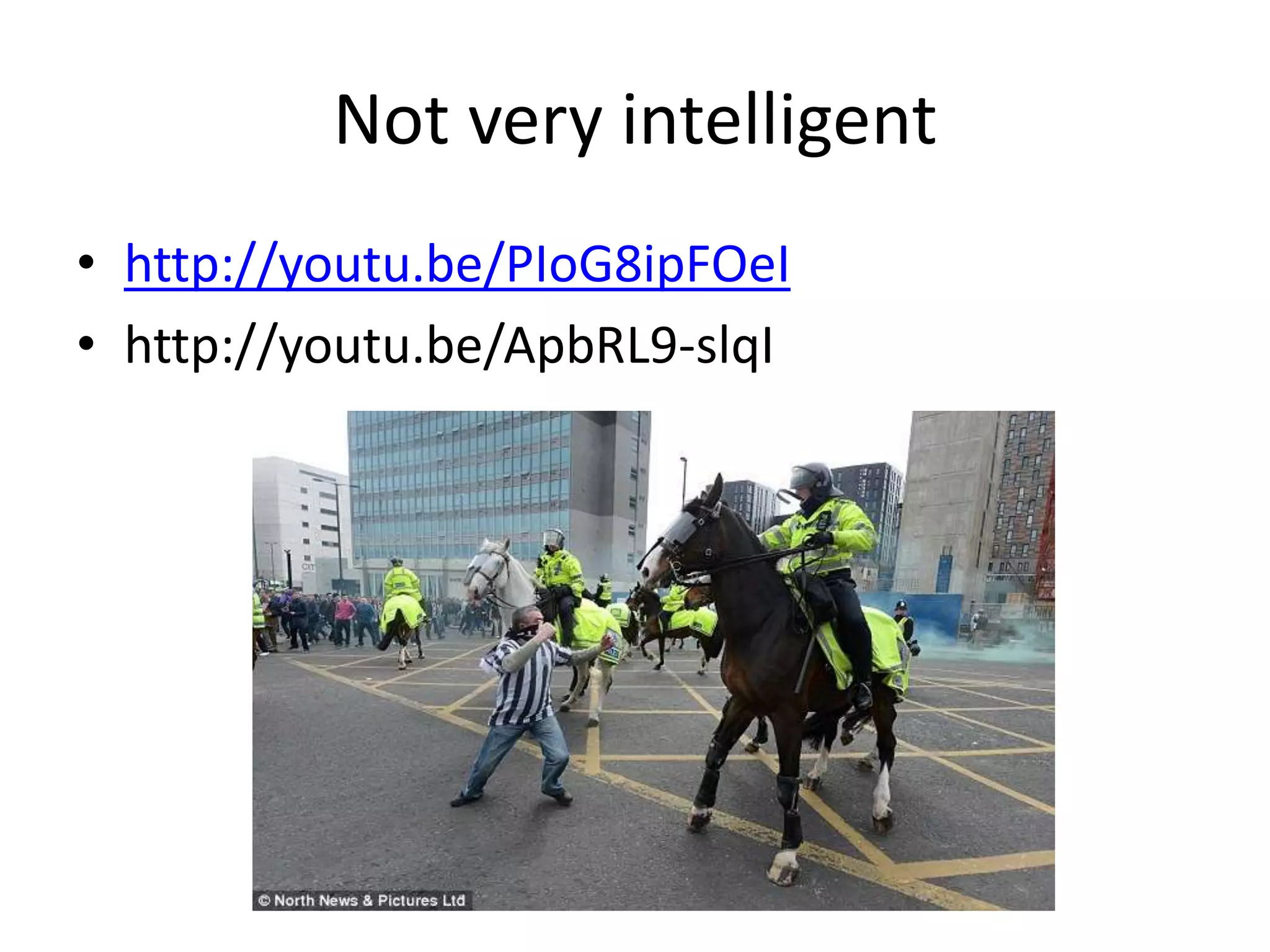 Geordies | PPTX | Soccer | Sports