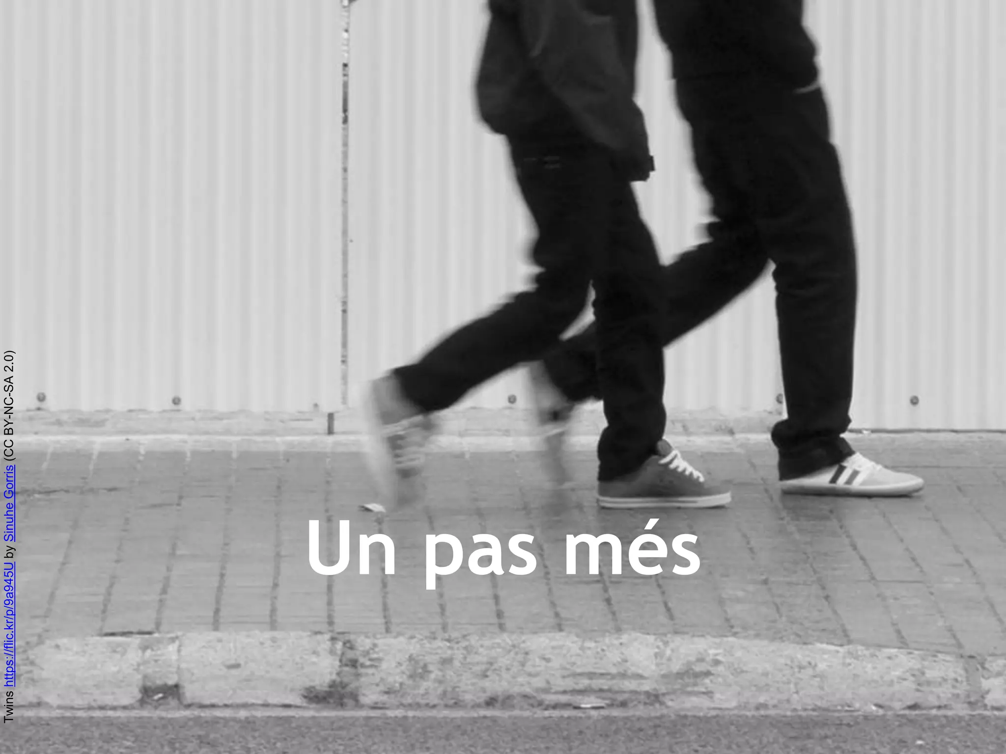 Twins https://flic.kr/p/9a945U by Sinuhe Gorris (CC BY-NC-SA 2.0) 
Un pas més 
 