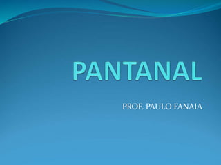 PROF. PAULO FANAIA
 