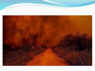 Geografia do Pantanal