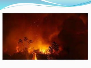 Geografia do Pantanal