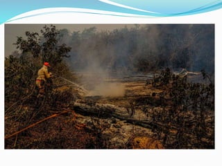 Geografia do Pantanal