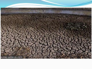 Geografia do Pantanal