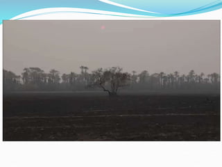 Geografia do Pantanal