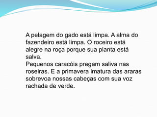 A pelagem do gado está limpa. A alma do
fazendeiro está limpa. O roceiro está
alegre na roça porque sua planta está
salva.
Pequenos caracóis pregam saliva nas
roseiras. E a primavera imatura das araras
sobrevoa nossas cabeças com sua voz
rachada de verde.
 