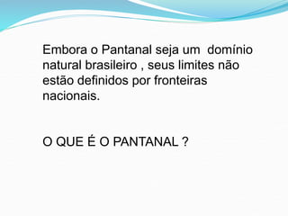 Embora o Pantanal seja um domínio
natural brasileiro , seus limites não
estão definidos por fronteiras
nacionais.
O QUE É O PANTANAL ?
 